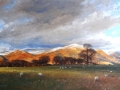 oil04