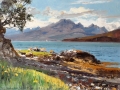 oil06