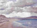 oil11