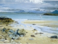 oil15