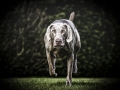 Monty-2245-Edit-Edit
