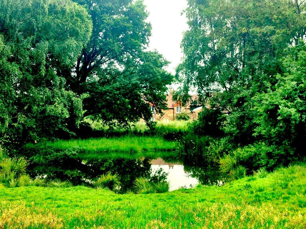 Darvells Pond- lovelivemusic