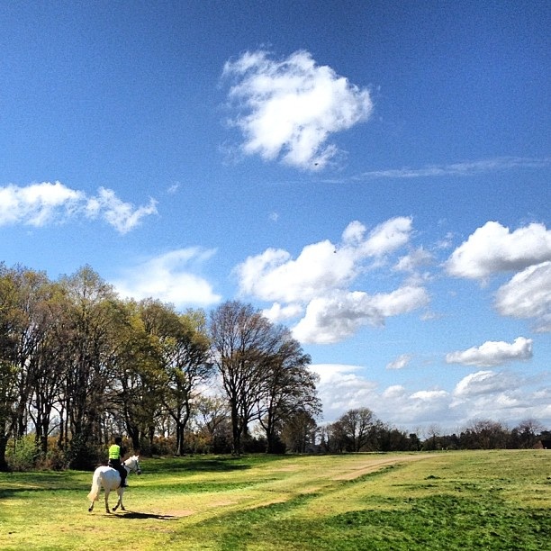 riding by lovelivemusic