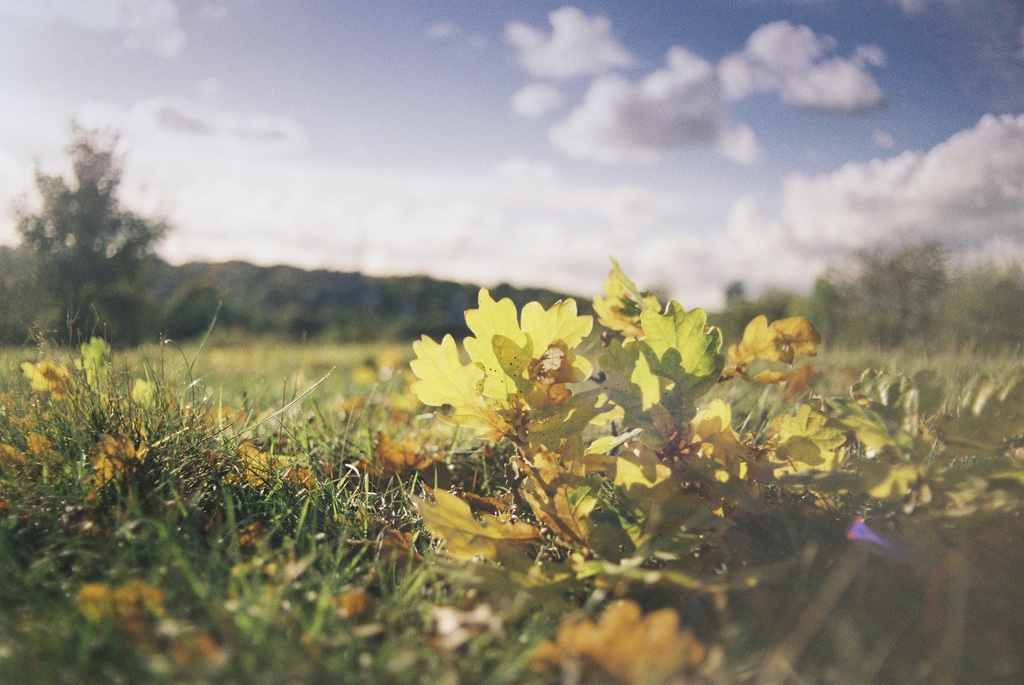 jonathon wretham oct common