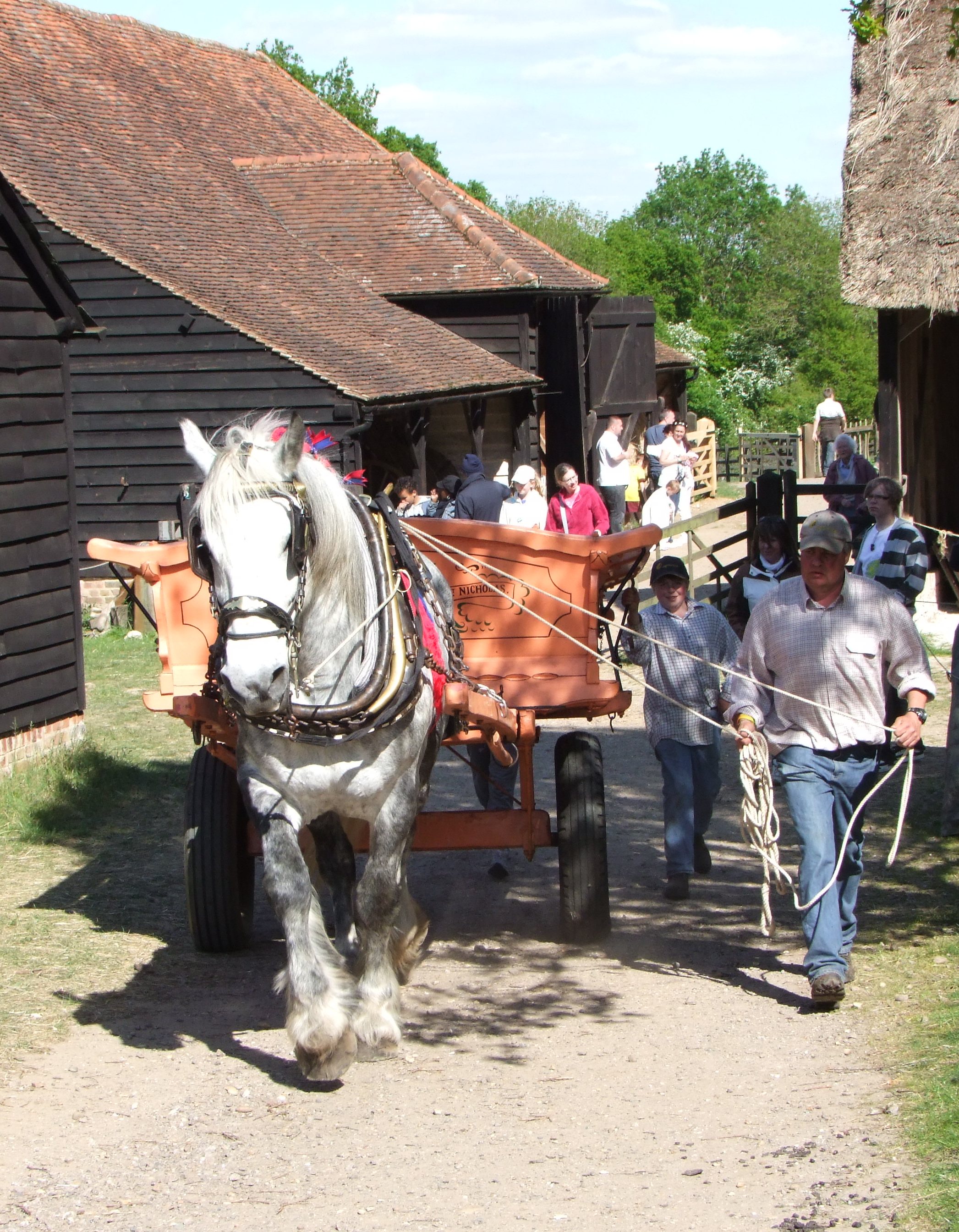 Horse and Farmyard at Chiltern Open Air Museum