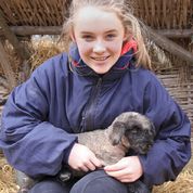 COAM lamb
