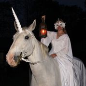 COAM starlight