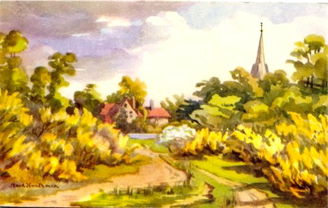 Image 19