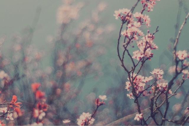 Imagine Spring
