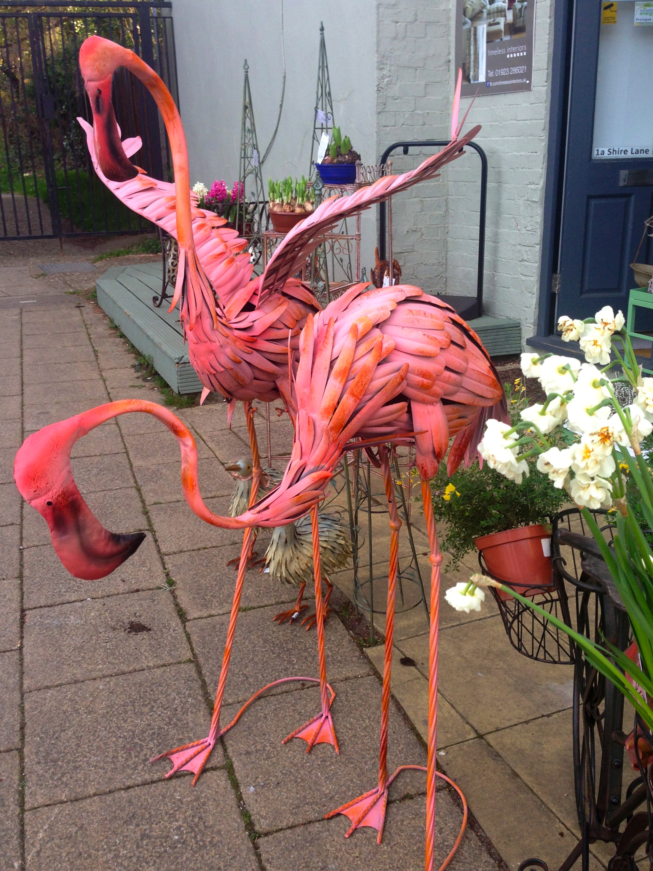 Andrew Fleming pink flamingoes