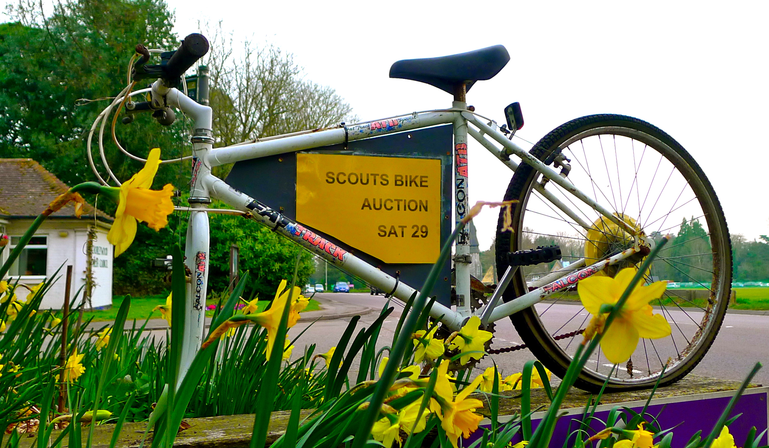 Yellow bike scouts