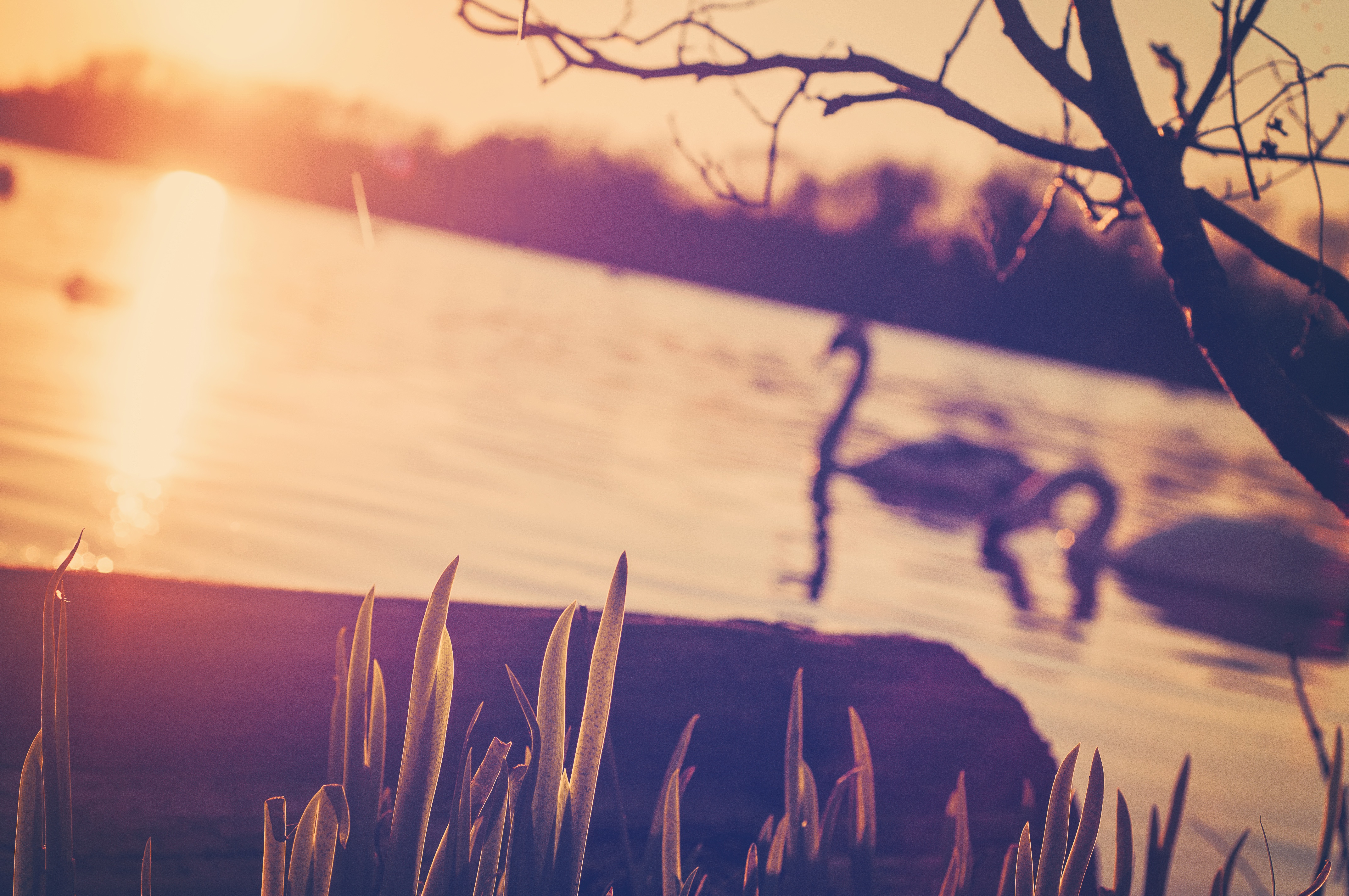 _DSC2832-edited