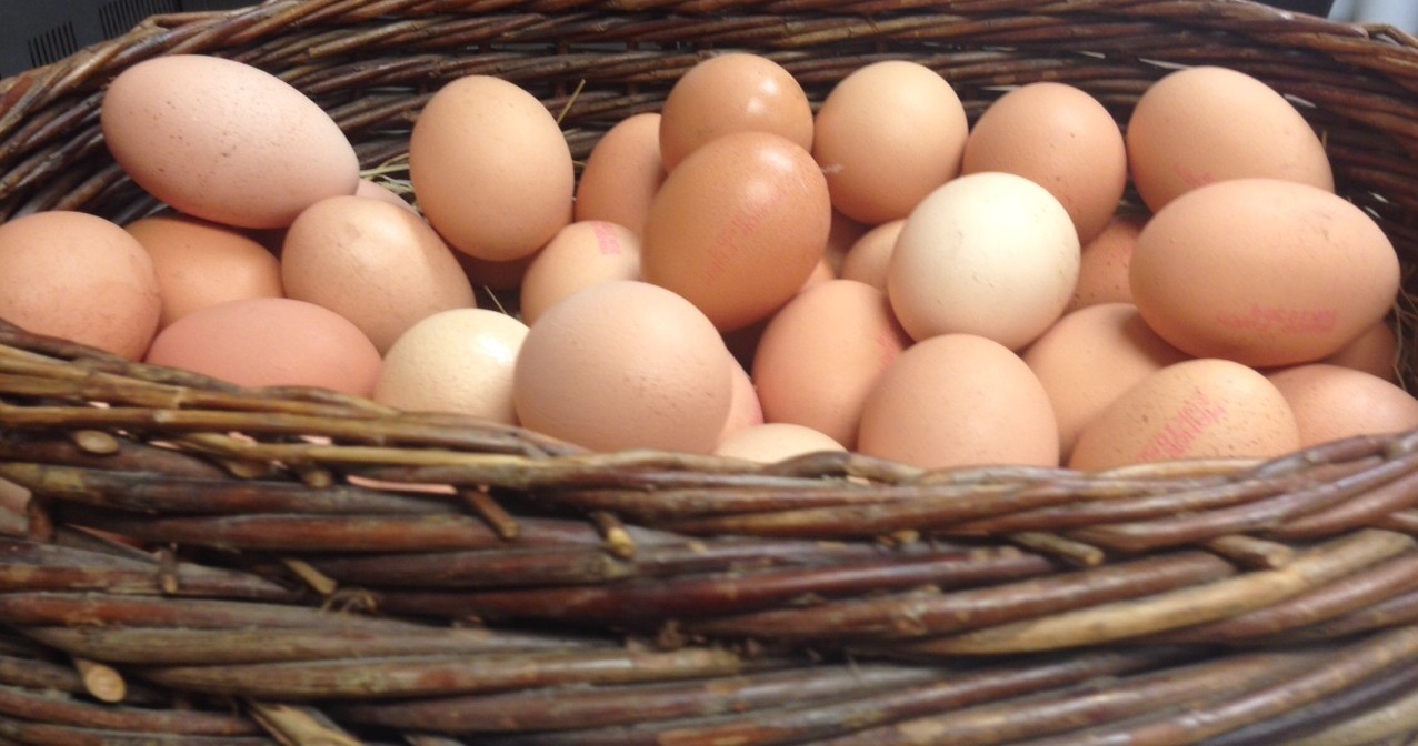 john may eggs basket