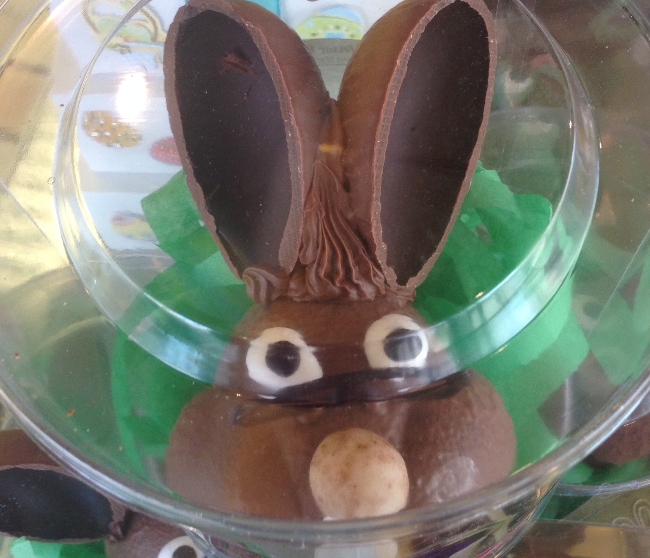 rabbit