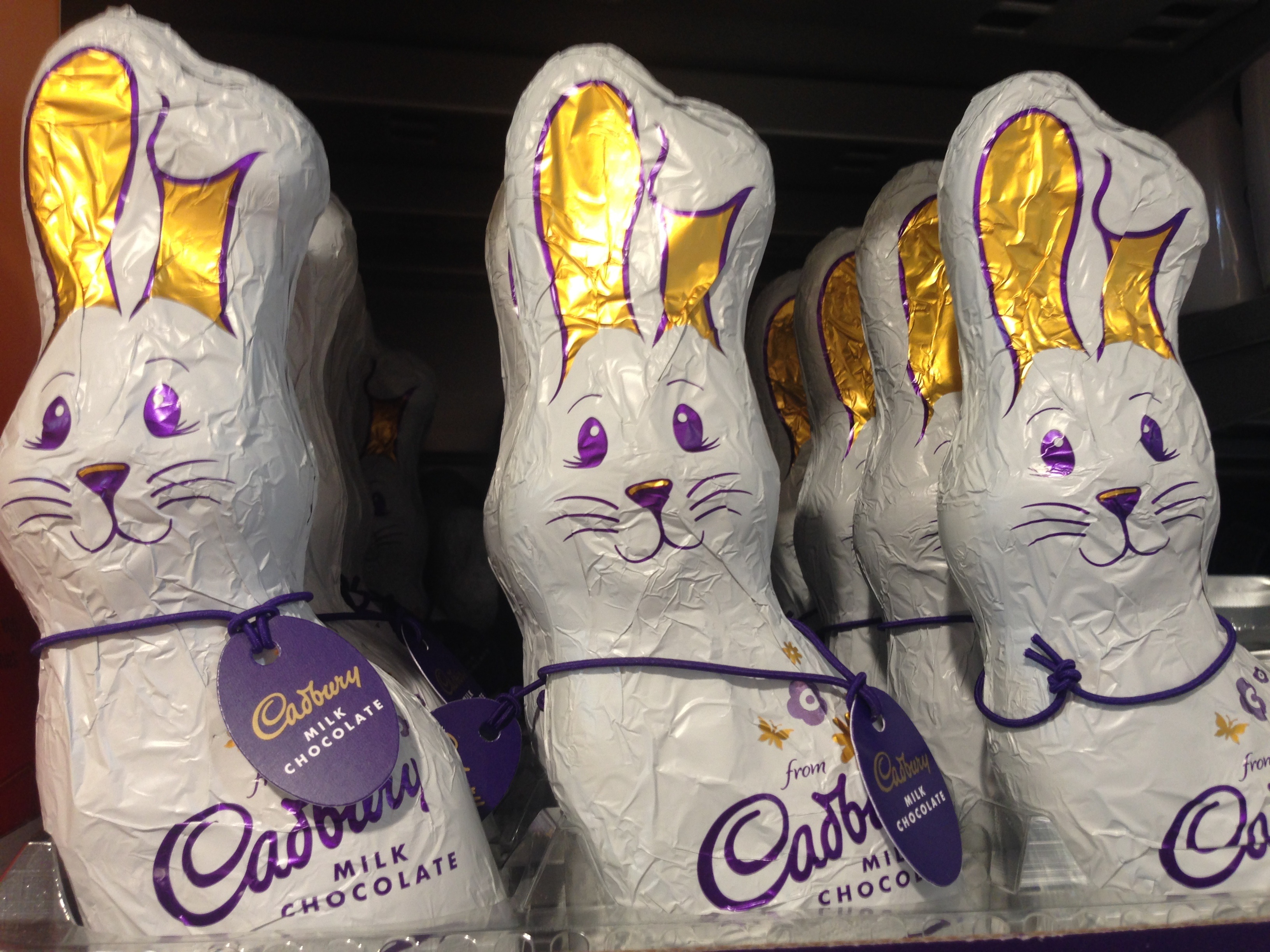 white bunnies budgens