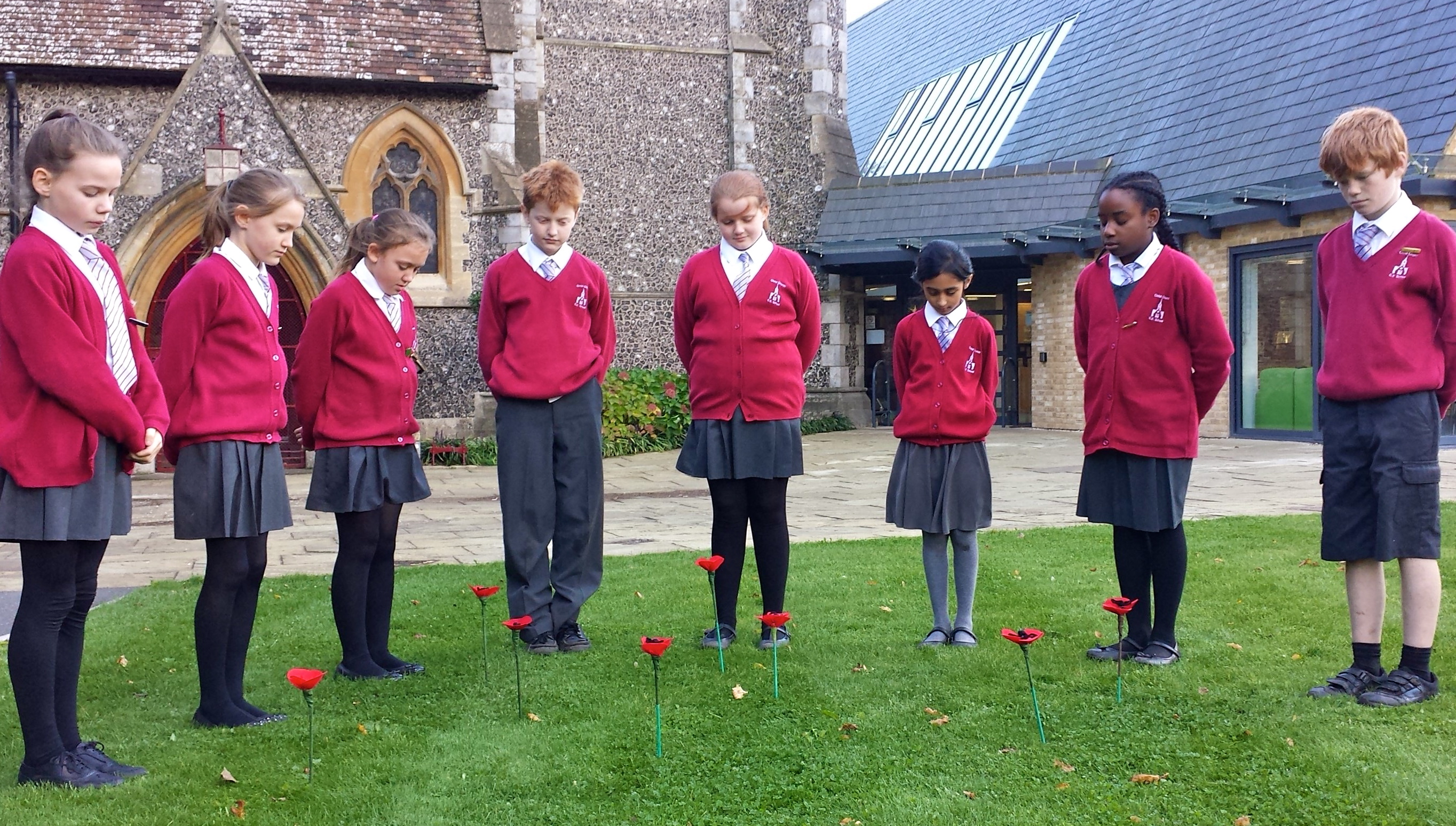 CC School poppies