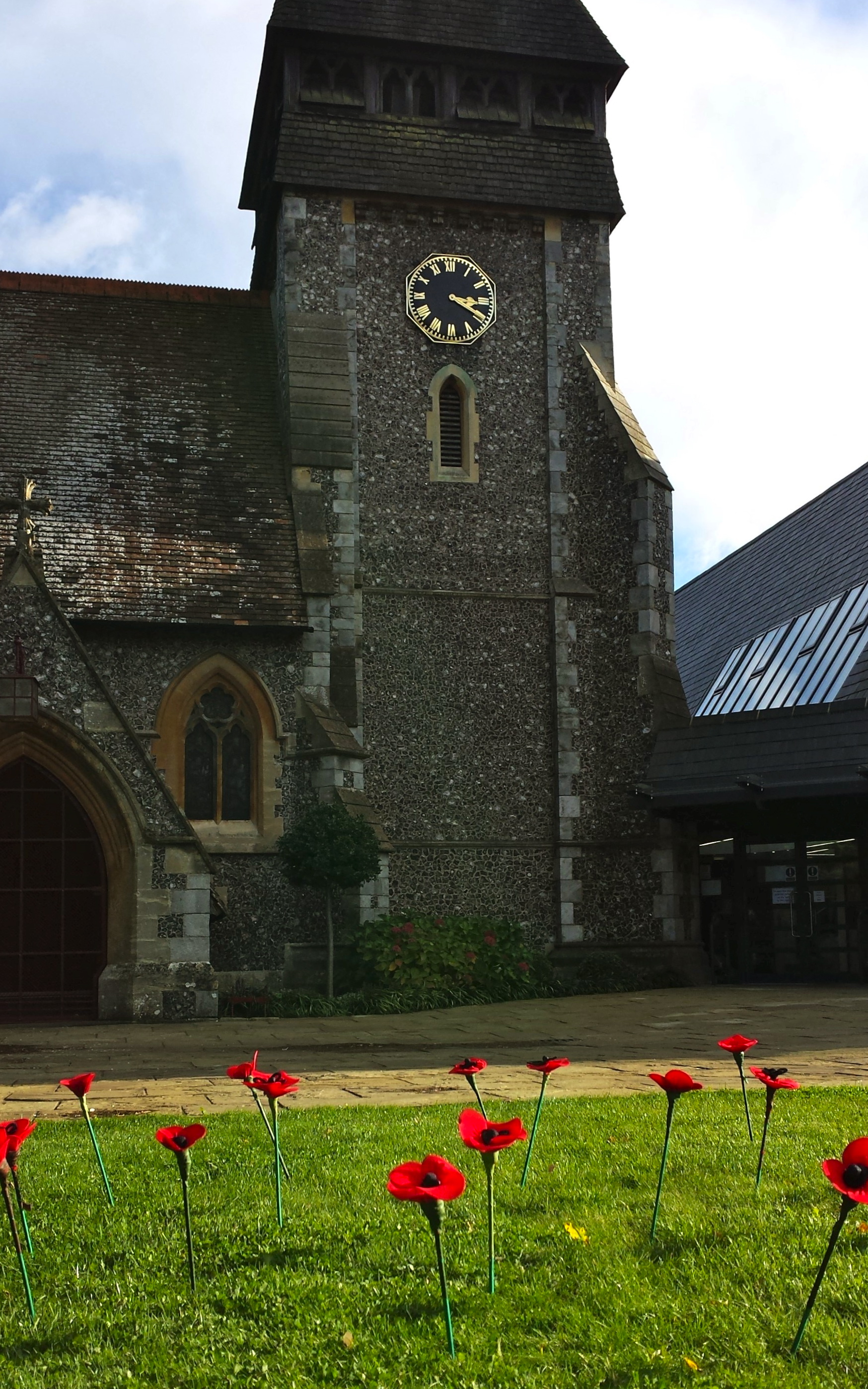 CC SChool poppies portrait.