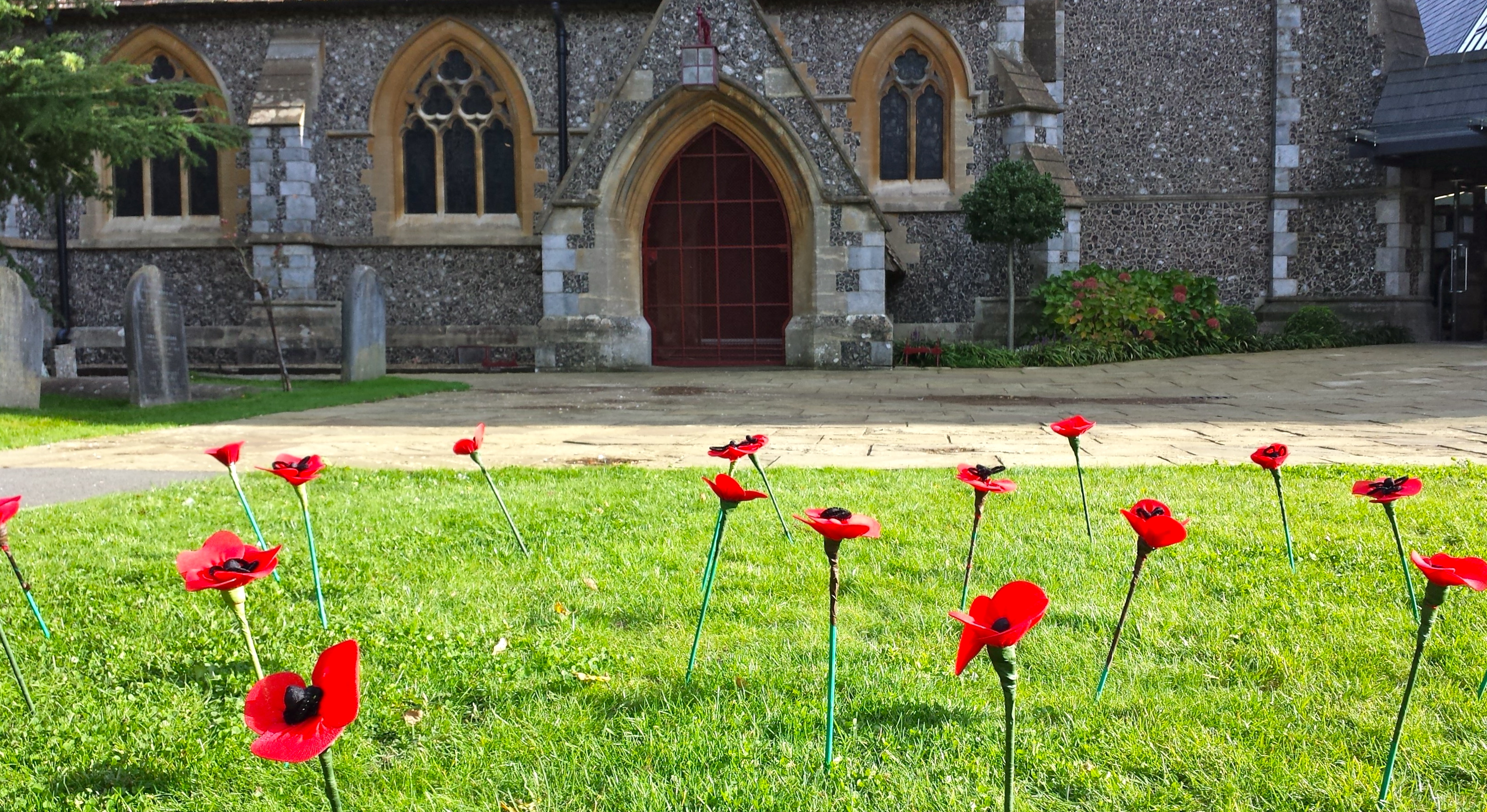 CC  School Poppies landscape