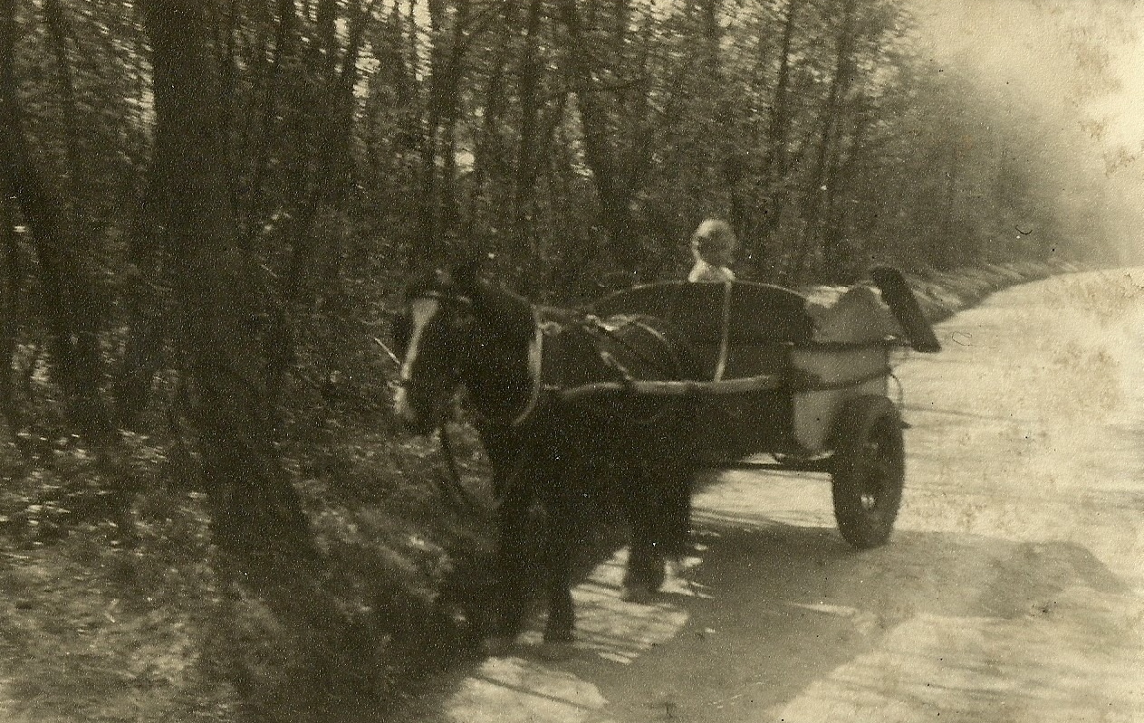 ML Shire Lane