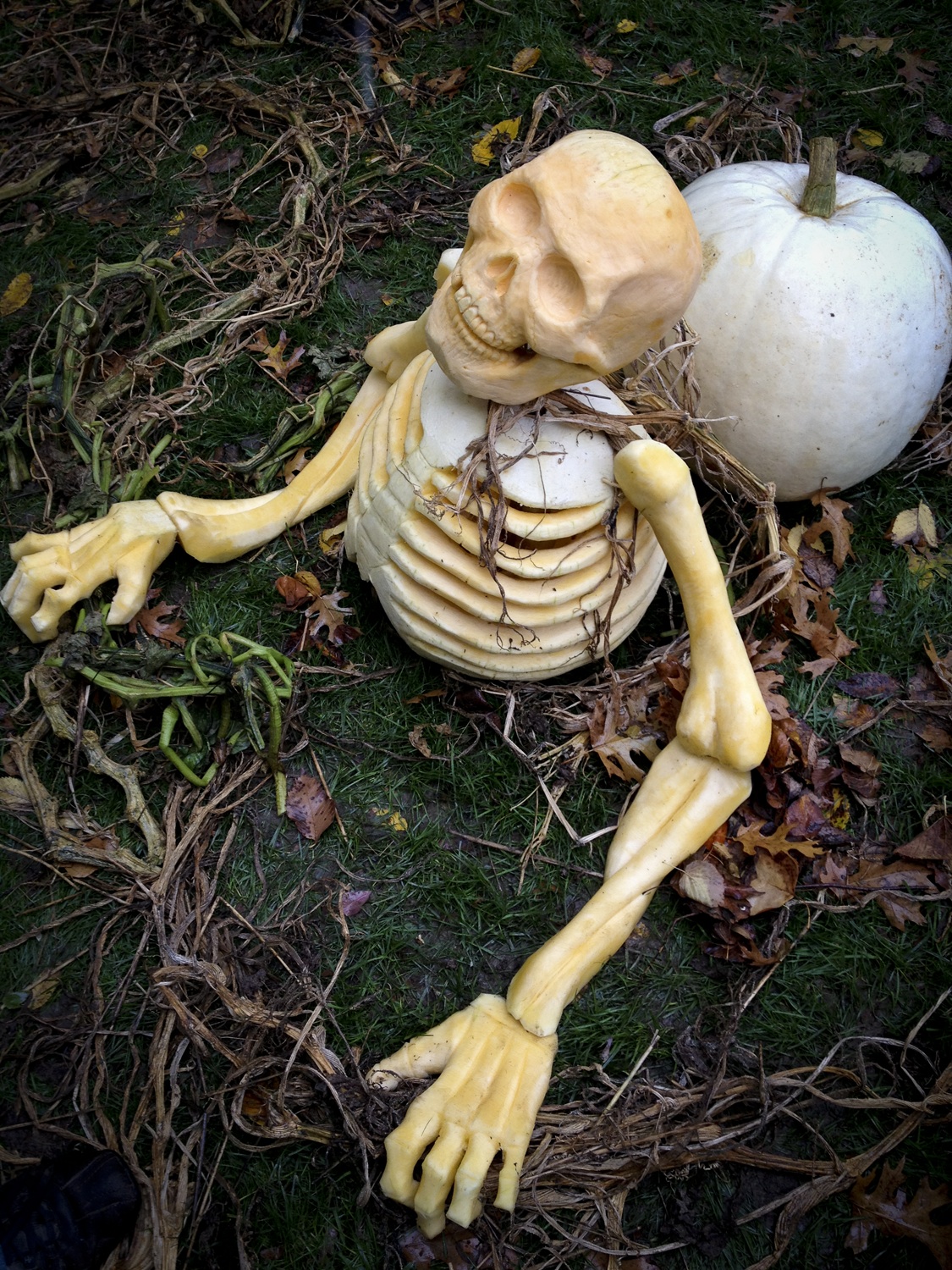 white_house_skeleton-1