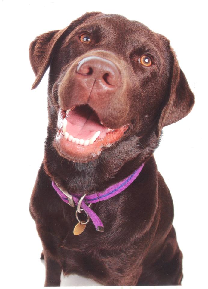 1458679_10202075321140610_1824747921_n