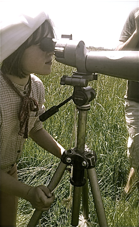 bird watching