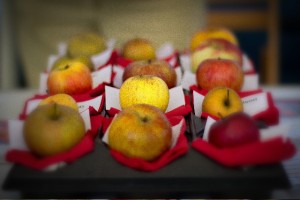 AppleDay-6