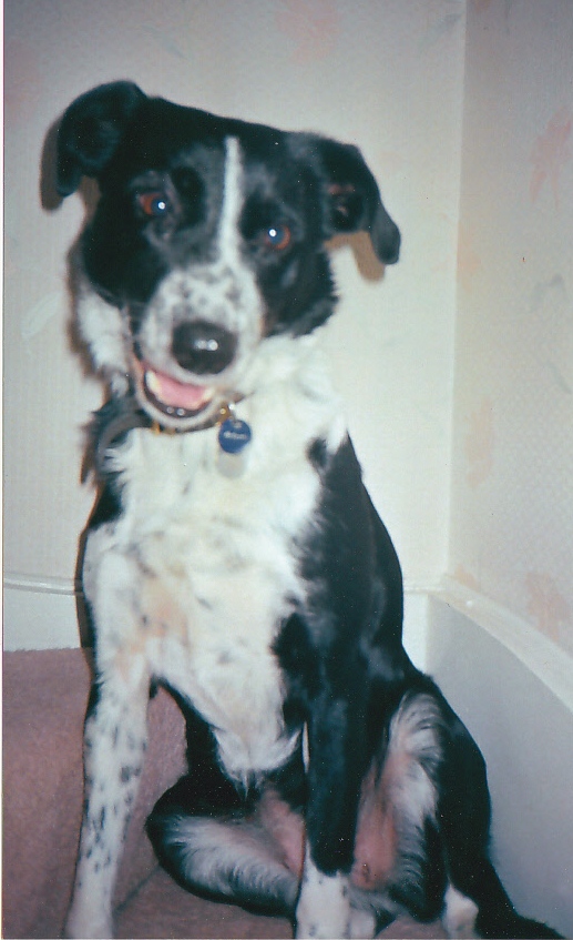 Molly1