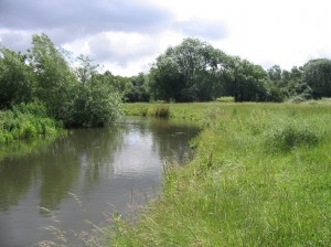 Croxley Common Moor