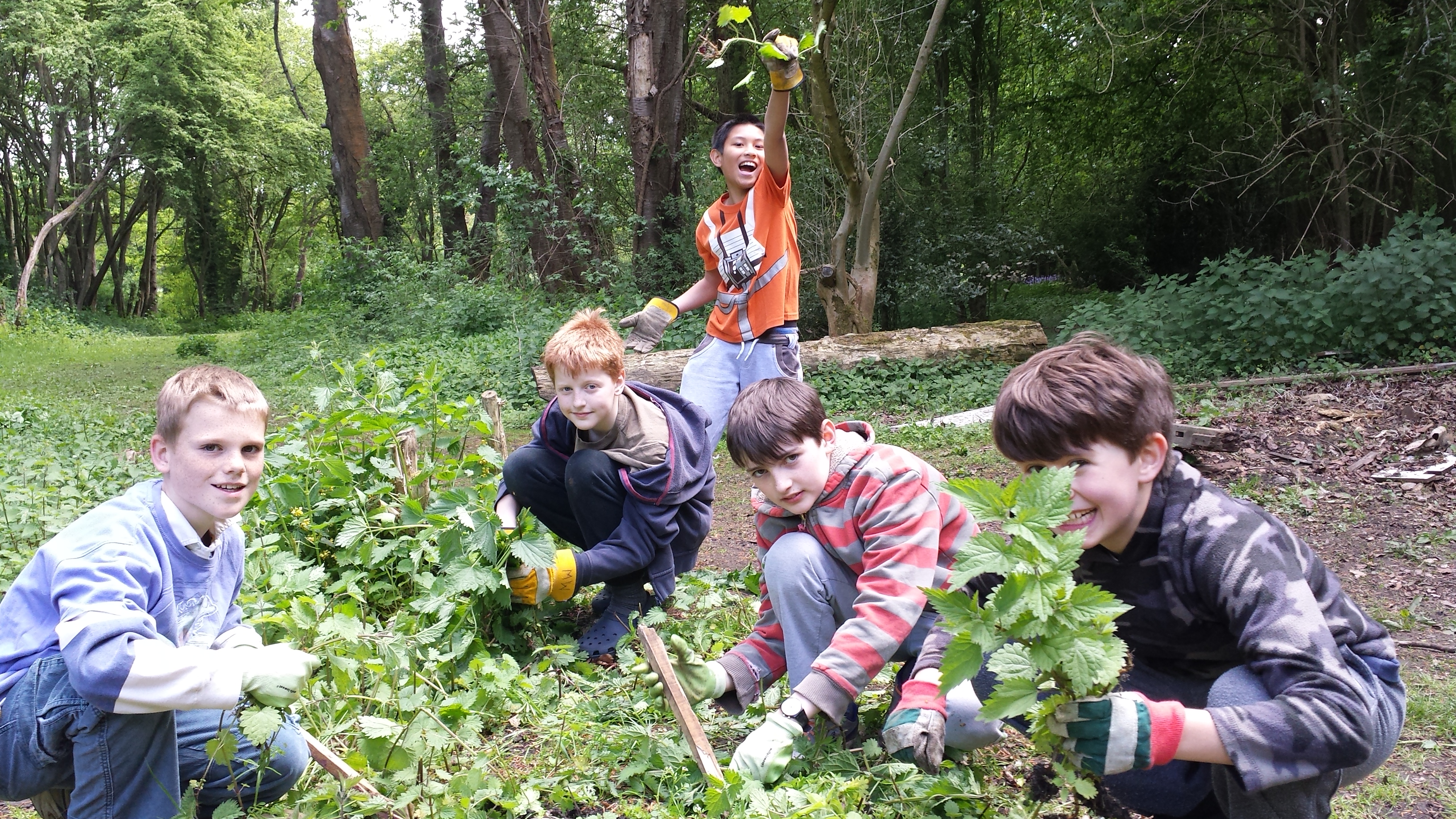 Rory, James, Aaron, Luke and Noah[1]