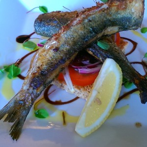 sardines
