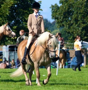 Chalfont Heights Riding Club Show Charlotte on Blondie