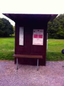 Jim Broadbent filming on the common