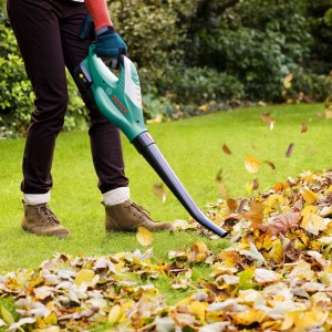 Leaf Blower