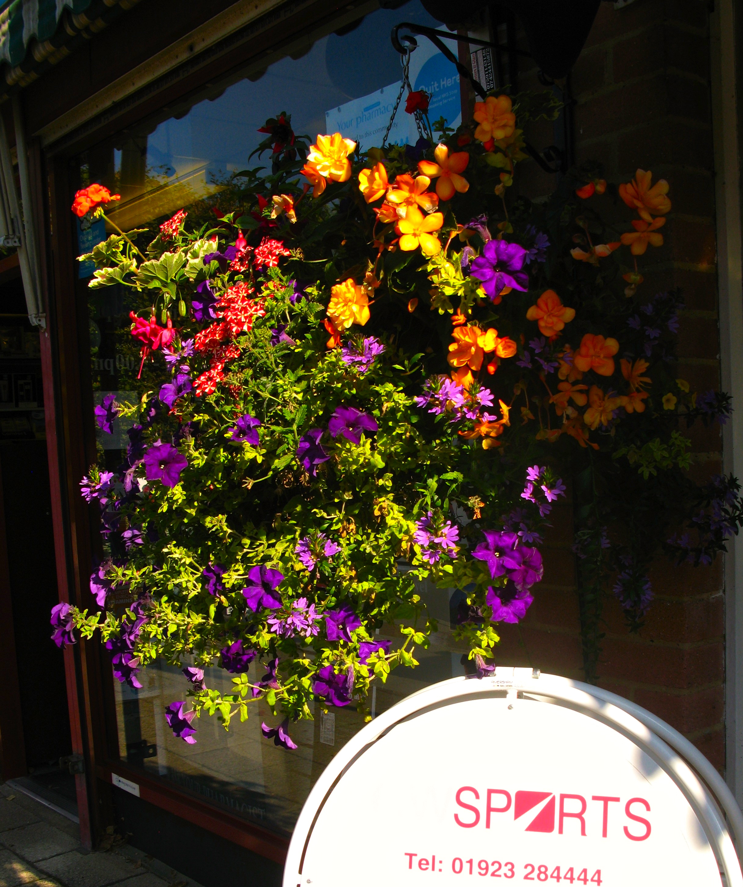 summer hanging basket