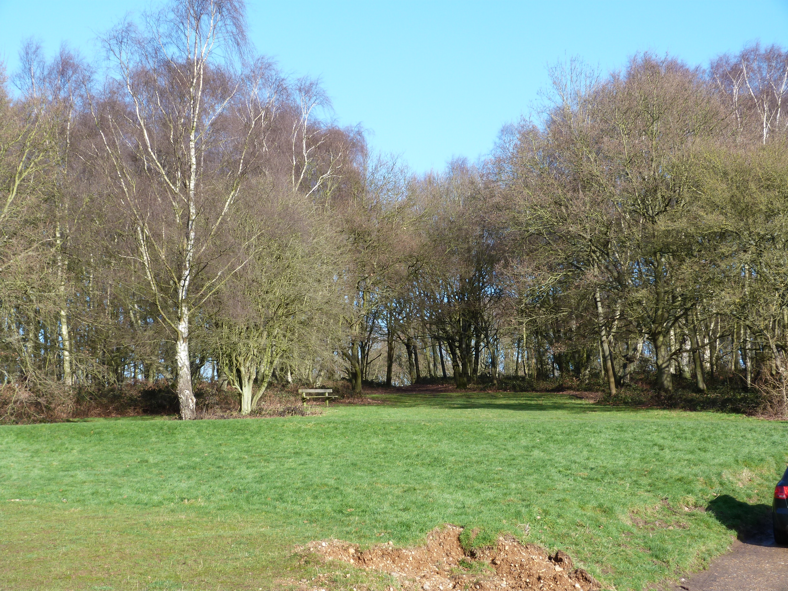 playground site copy