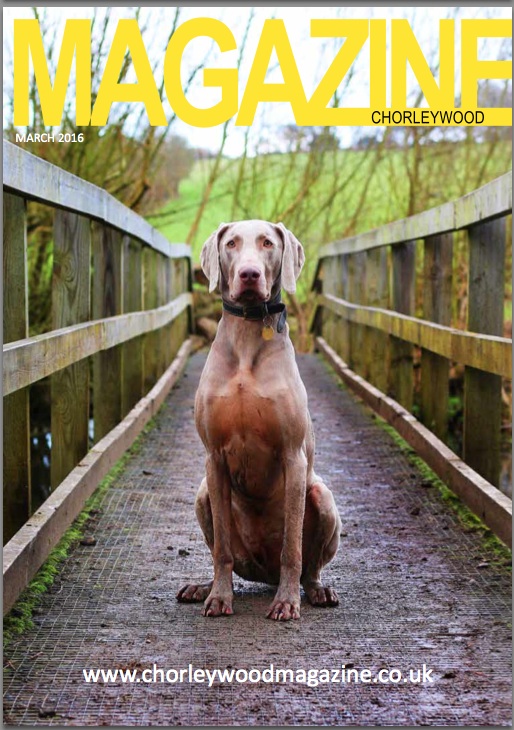 March cover