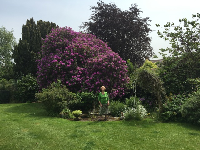 2016-06-10 11.53.56