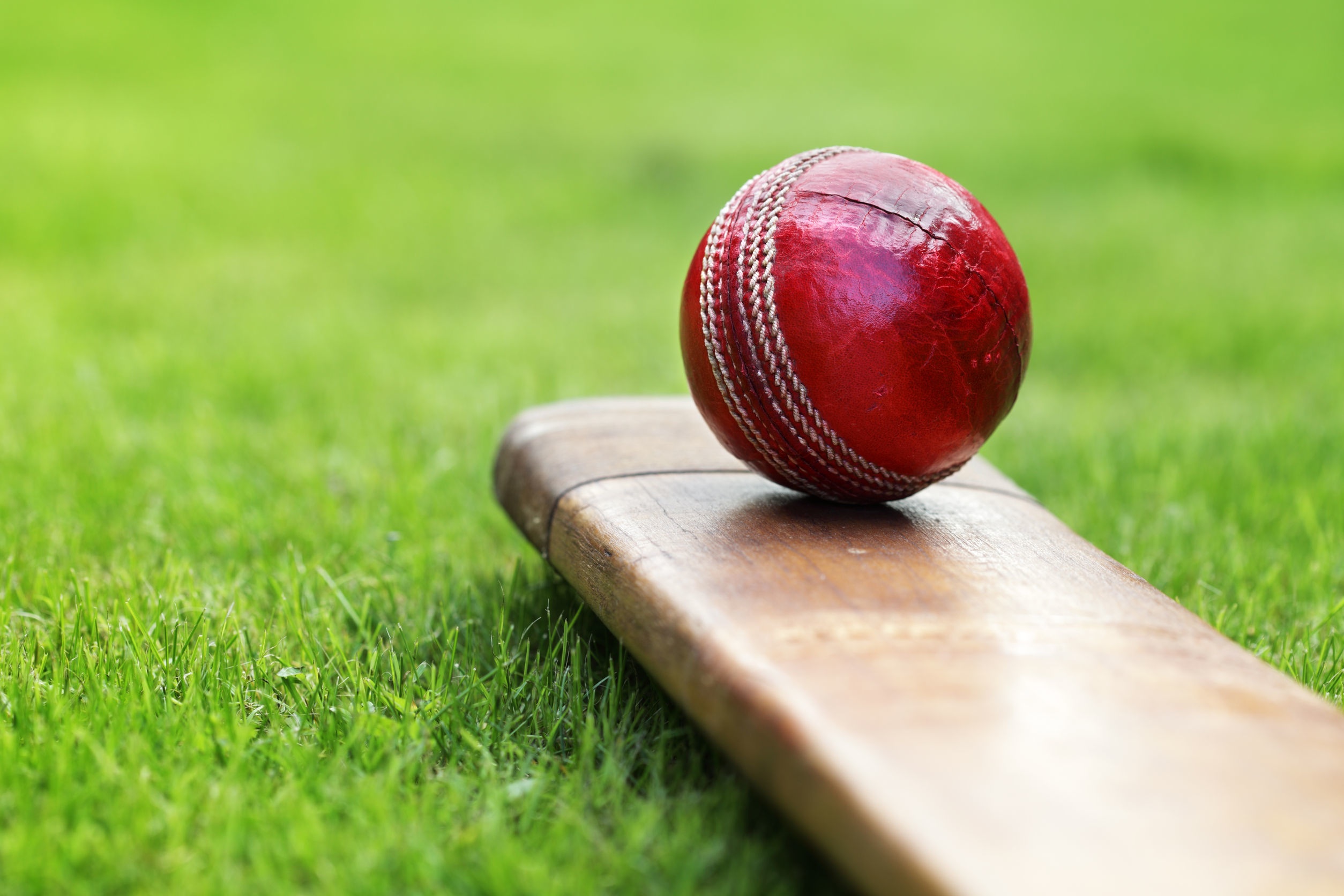 cricketball copy