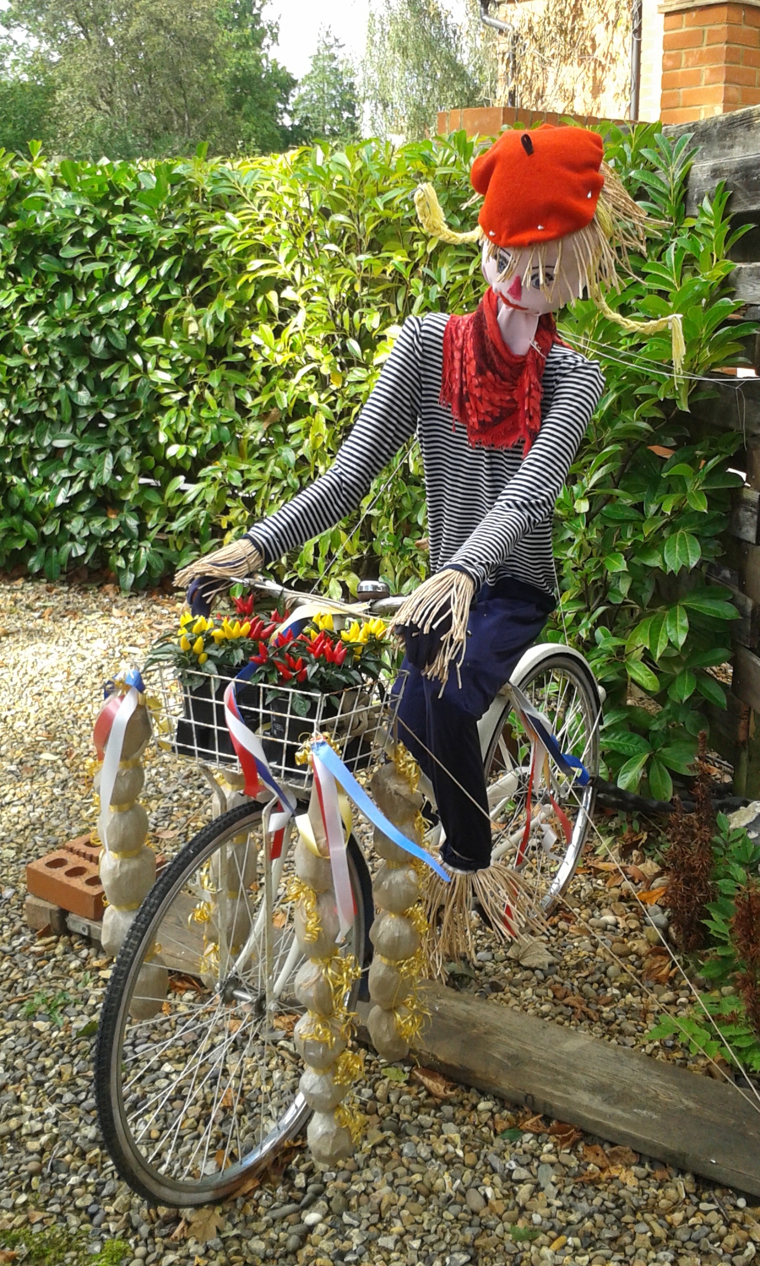 41-francis-from-france-shipway-fam-pic-daniel-cook