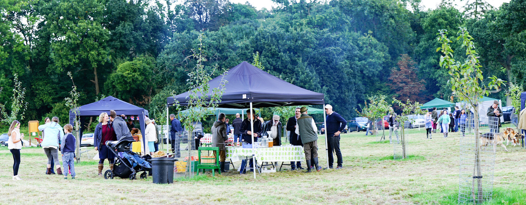 AppleDay2016-26 copy