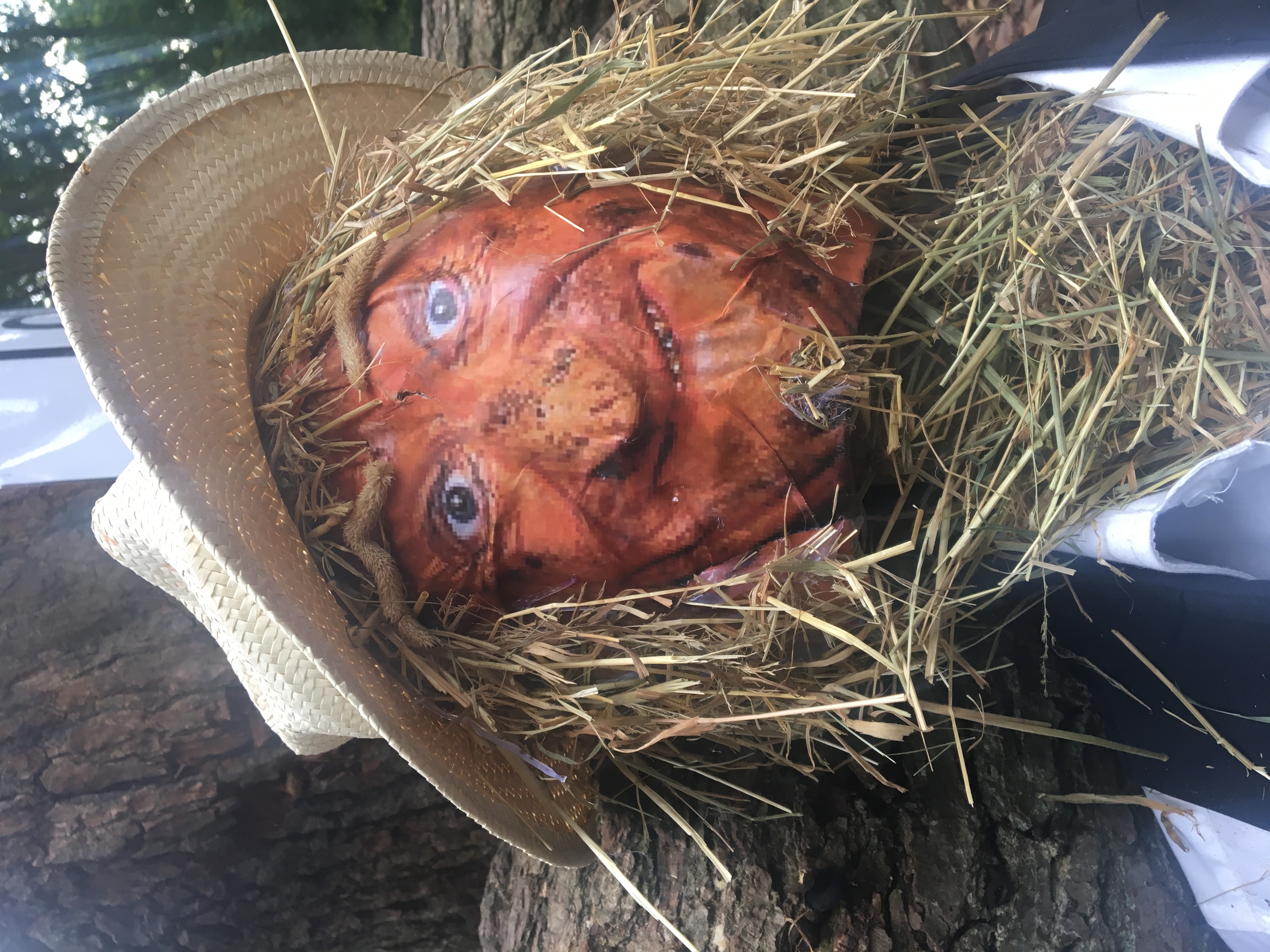 10 worzel gummidge