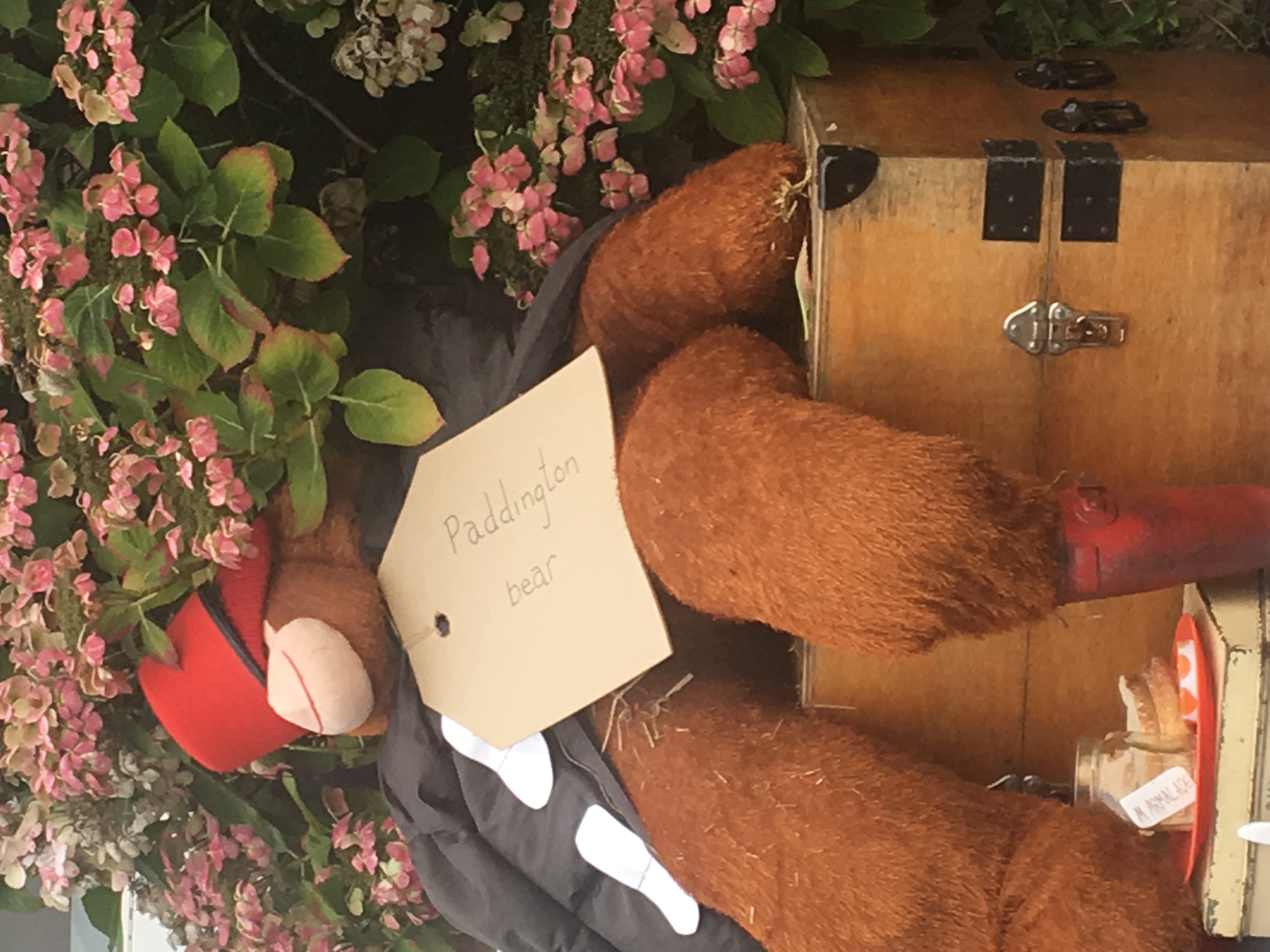 22 Paddington Bear