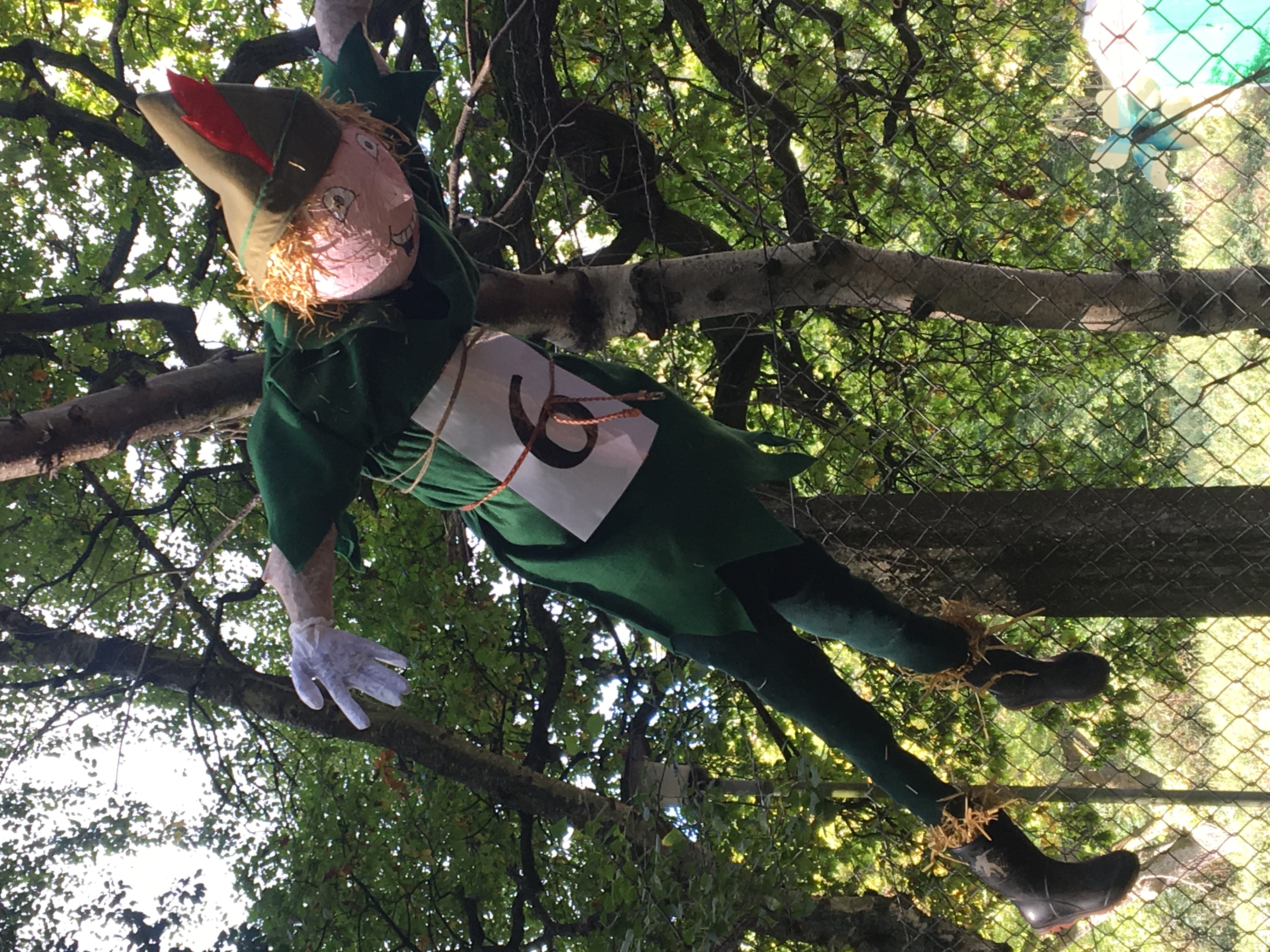 6 Peter Pan option