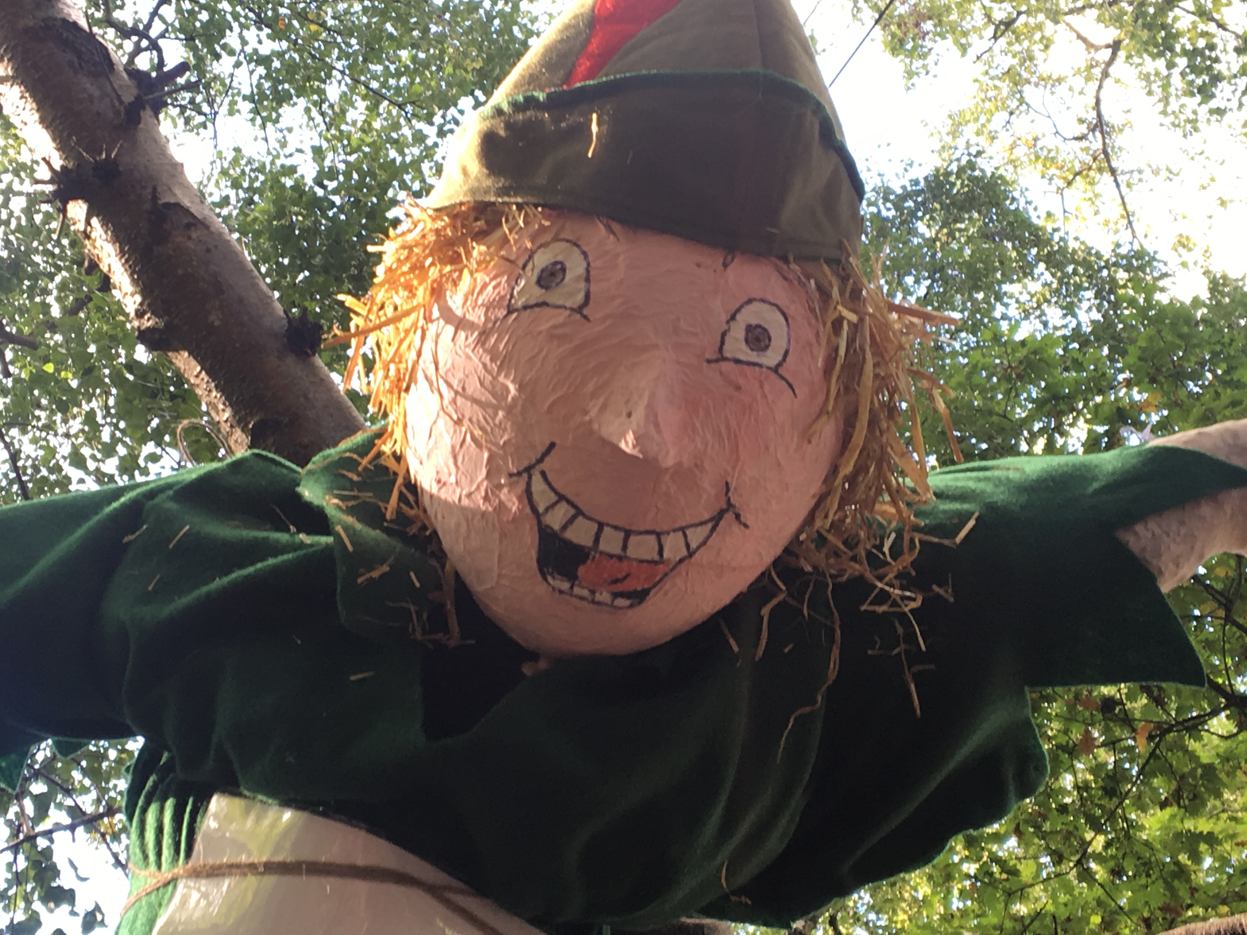 6 peter pan