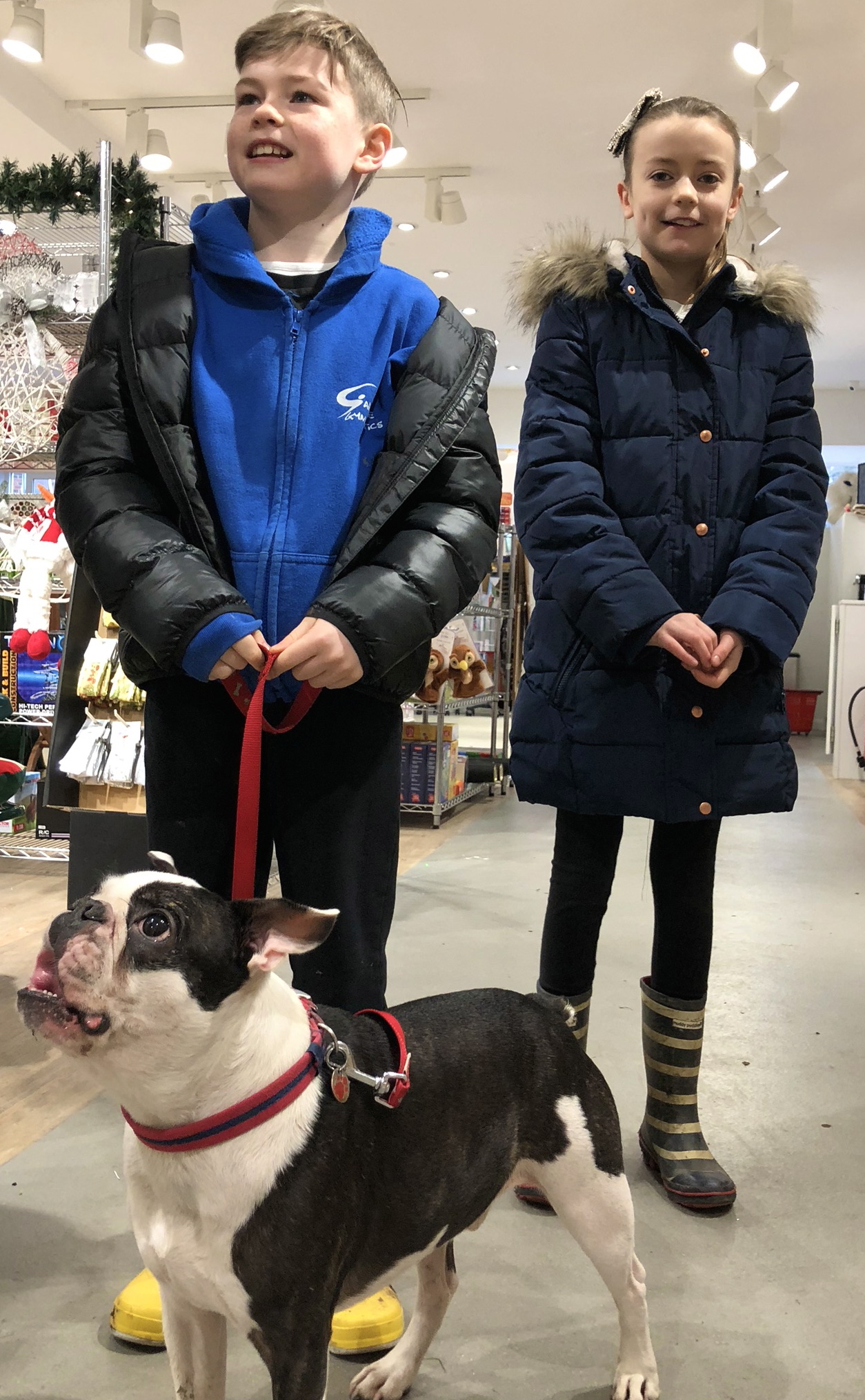 Ned, Tilly and Dexter copy