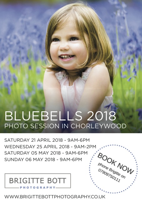 BrigitteBott-Apr QTR copy