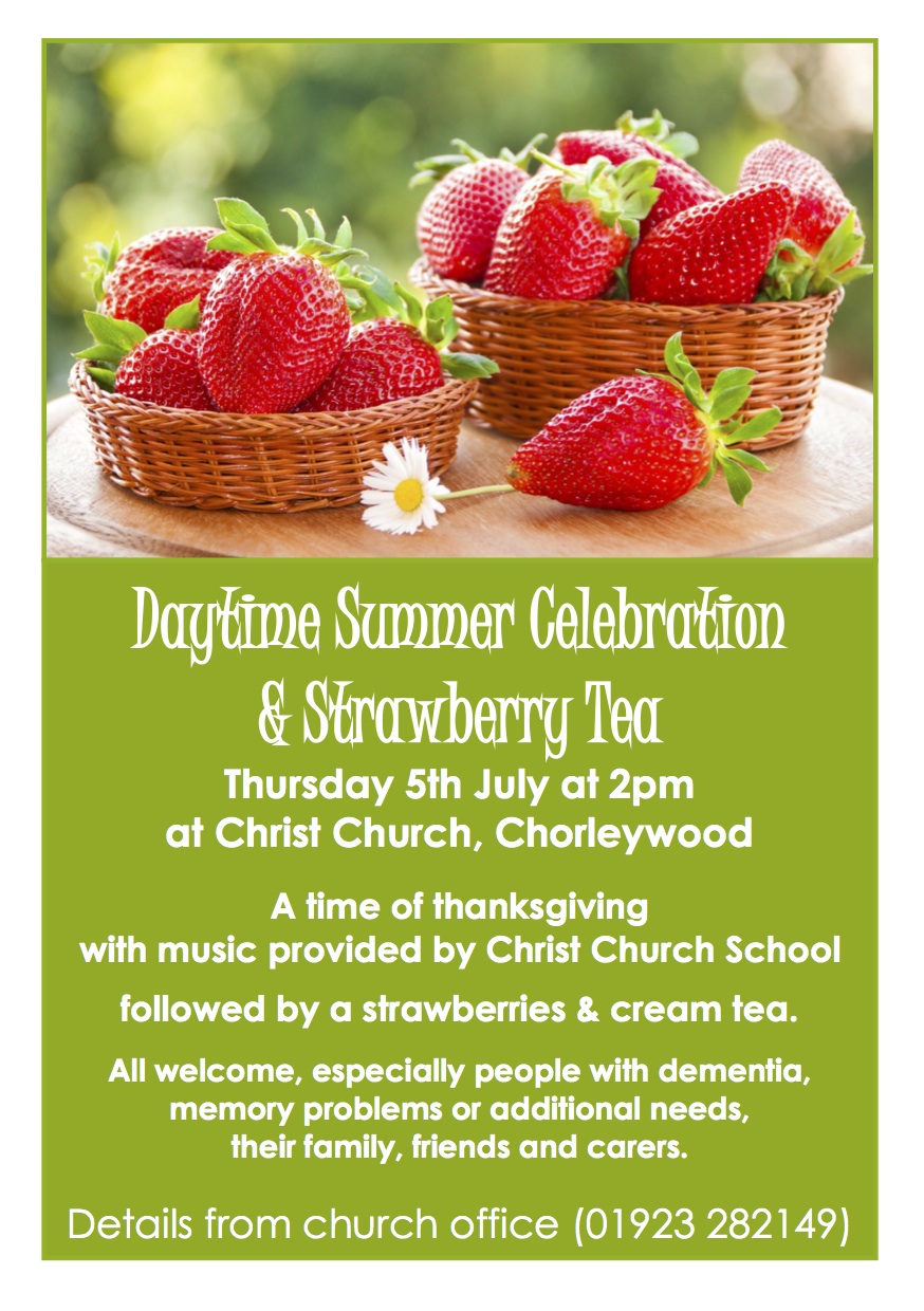 Daytime Summer Celebration