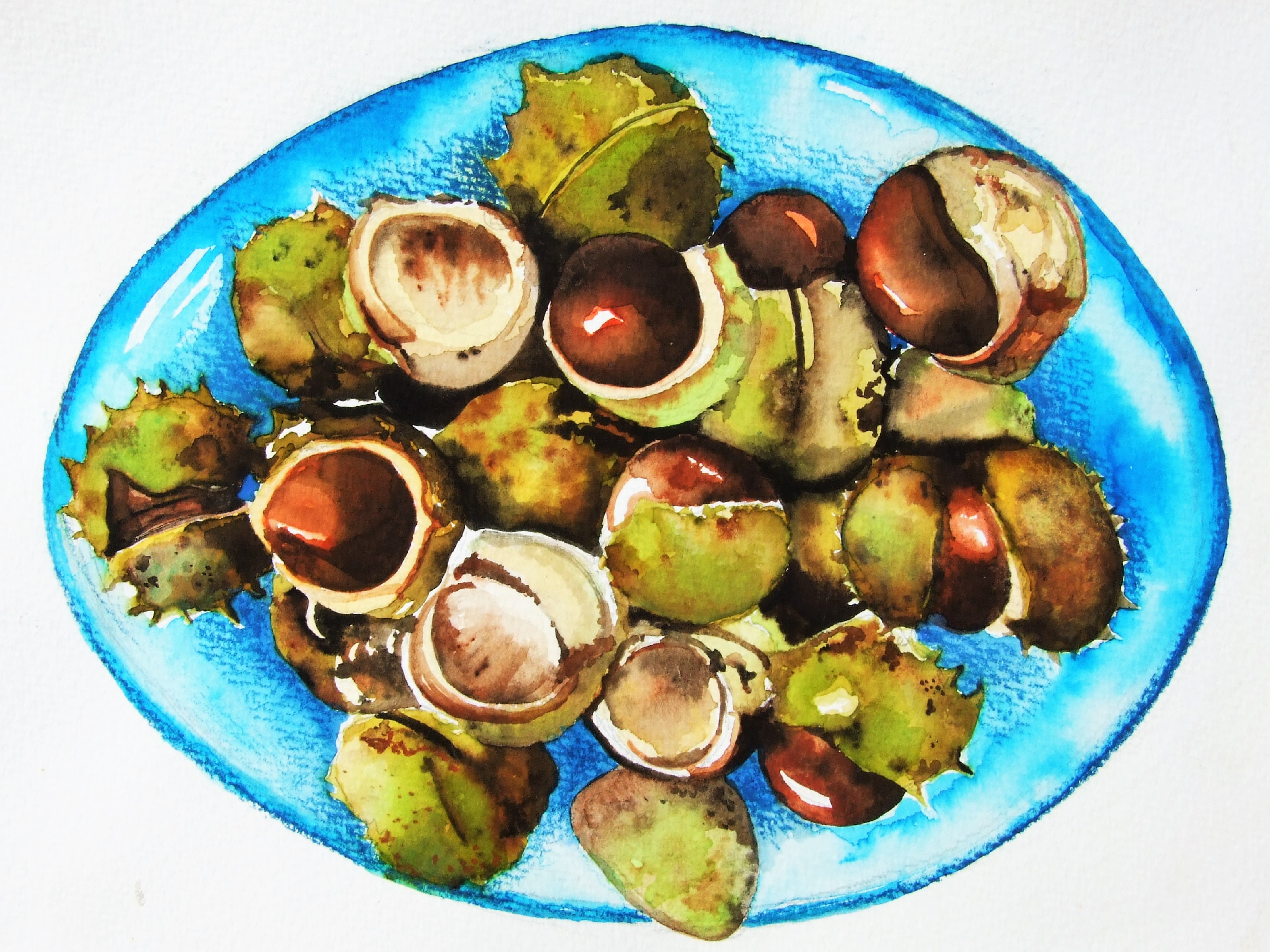Conkers